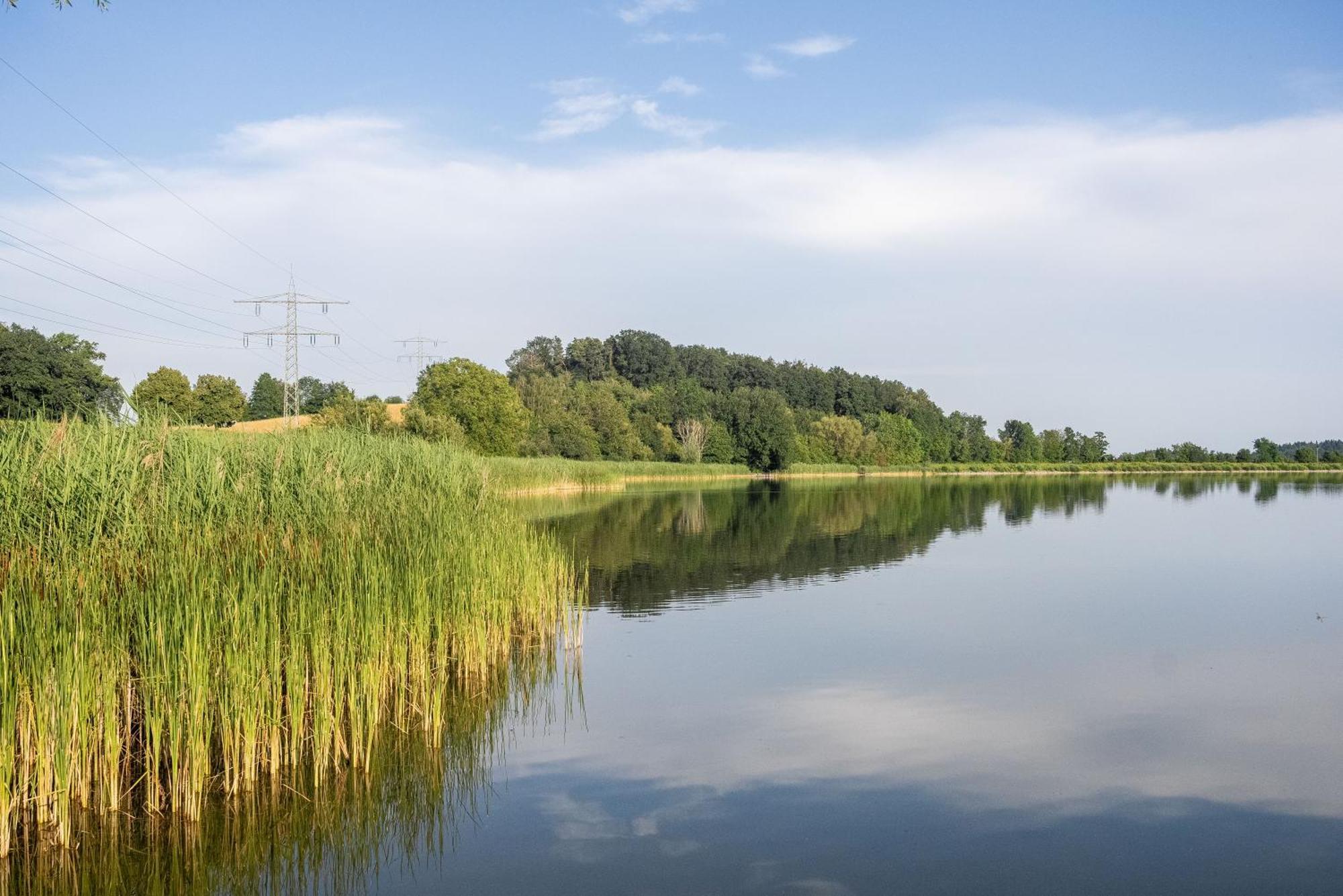Mit Und Alpenblick Uberlingen