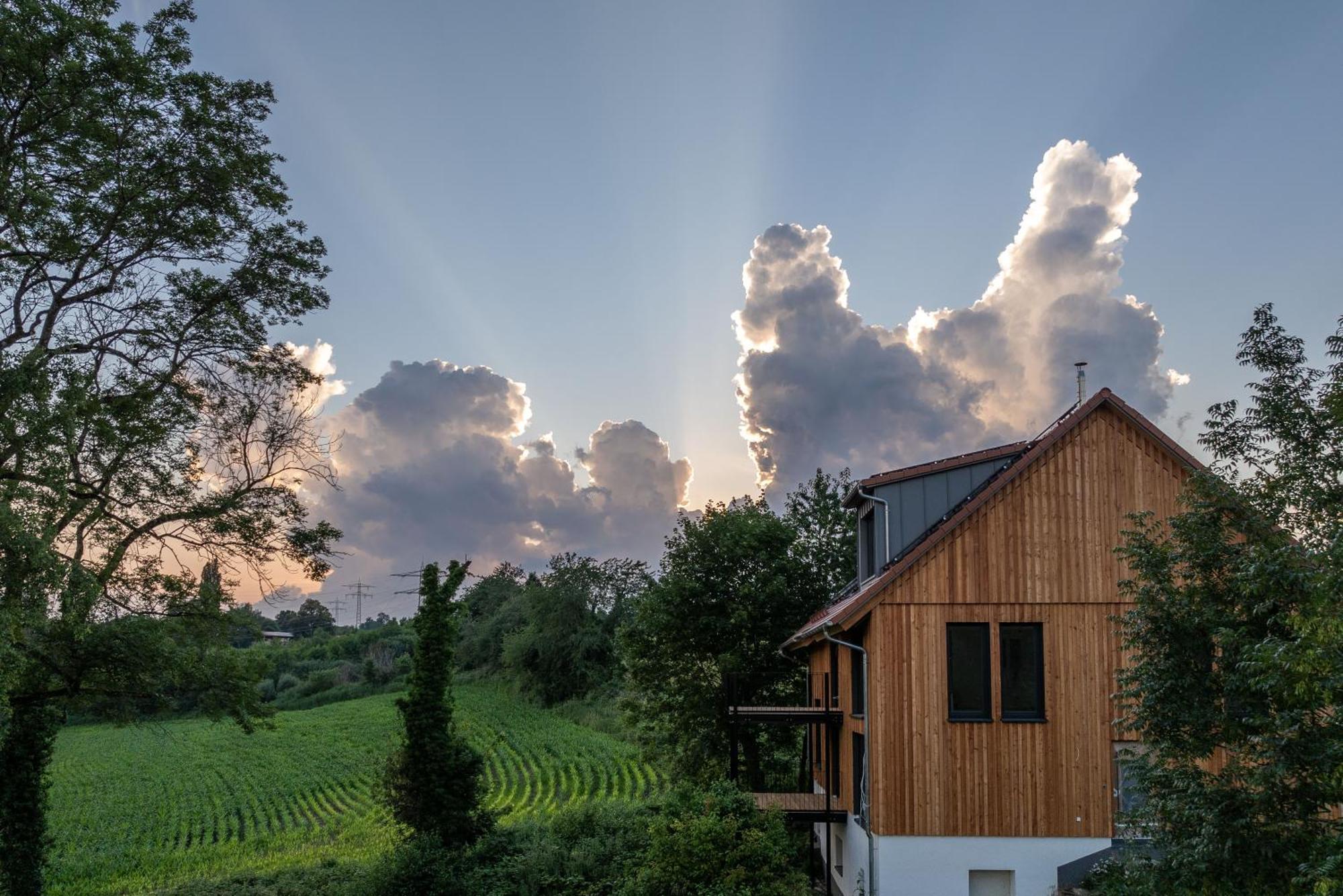Mit Und Alpenblick