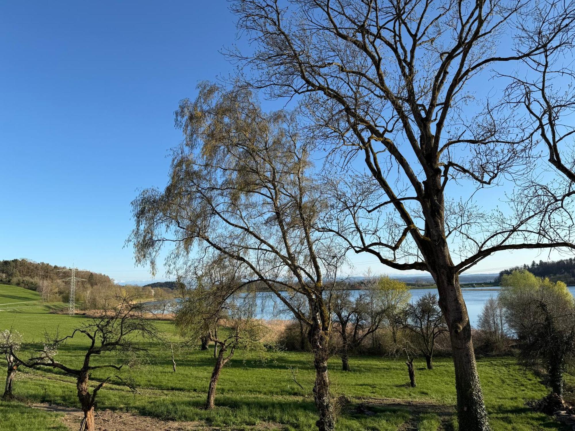 Mit Und Alpenblick * Uberlingen